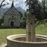 Fontaine de la chapelle Notre Dame du Château