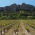 Les dentelles de Montmirail