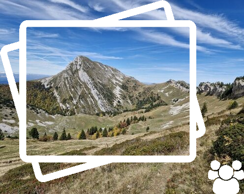 sommets de Chartreuse