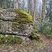 bloc dit : "Dolmen de l'Antillière" 38380 Miribel-les-Èchelles .