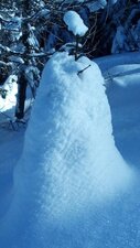 Arbre de neige