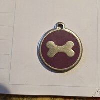 Mais où est passé Tempo le chien ?
