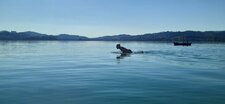 La recherche de la vague parfaite