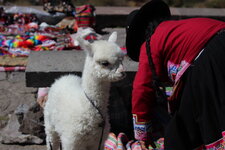 Cusco