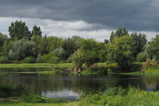 Bords de Vienne