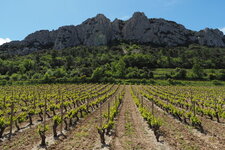 Les dentelles de Montmirail