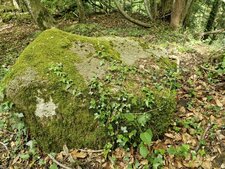 Site des ruines du château de la Perrière, Saint-Julien-de-Ratz.