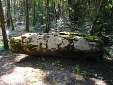 "Pierre à sacrifices", Miribel-les-Échelles.