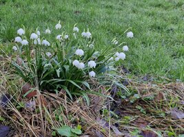 Nivéoles, route de la Maladière.