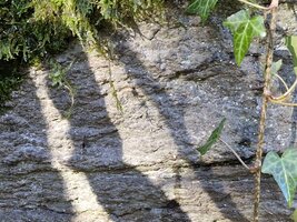 Beau morceau de Maurienne.