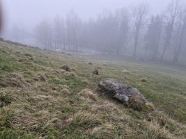 Correrie dans la brume.