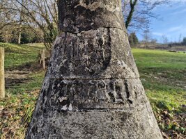 Écusson et écriture latine.