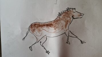 Le cheval de Lascaux.