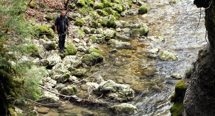 Balade le long du Cozon : pêche à la mouche