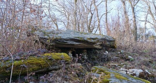 "Dolmen du Nezet'', Miribel-les-Échelles.