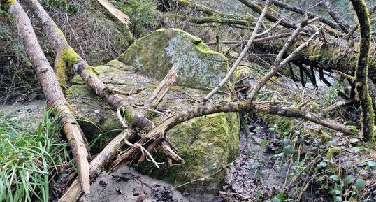 Bloc dit : "Dolmen de la Pierre à la Marte" 38620 Merlas