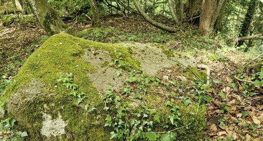 Site des ruines du château de la Perrière, Saint-Julien-de-Ratz.
