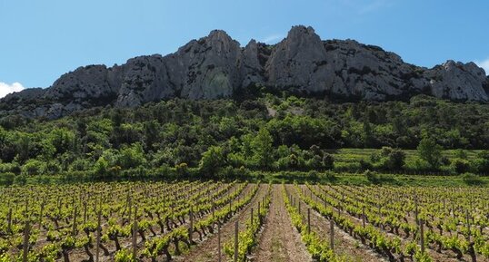 Les dentelles de Montmirail