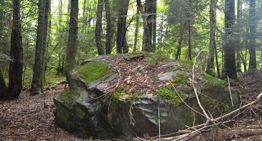 Bloc erratique. Sous le rocher de la Garde, Saint-Joseph-de-Rivière.