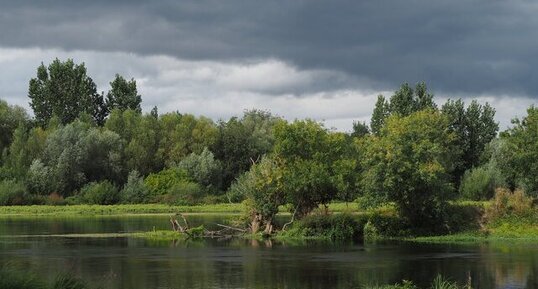 Bords de Vienne