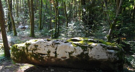 "Pierre à sacrifices", Miribel-les-Échelles.