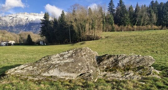 Bloc affleurant dans un champ du hameau du Garel à Saint-Julien-de-Ratz (…)