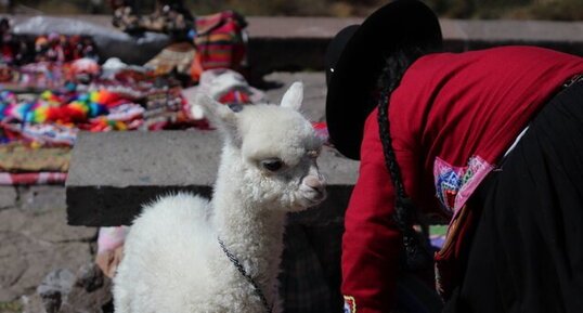 Cusco