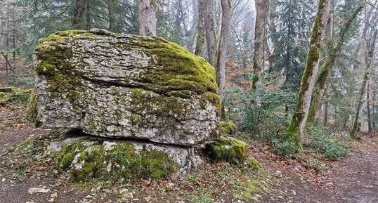 "Dolmen de l'Antillière", Miribel-les-Èchelles .