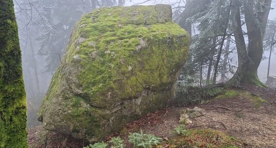 Bloc dit : "Pierre à Mata" 38620 Merlas.